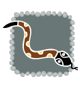 snake graphic